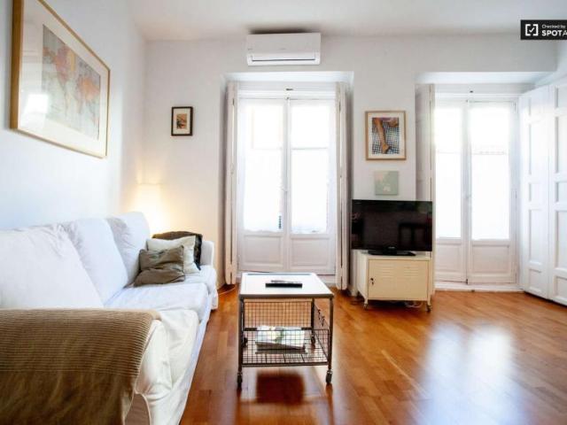1 Dormitorio Apartamentos Madrid Madrid LS101834578