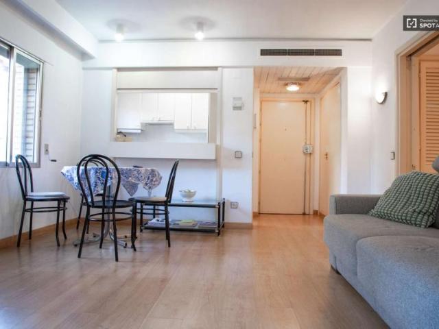 1 Dormitorio Apartamentos Madrid Madrid LS101849867