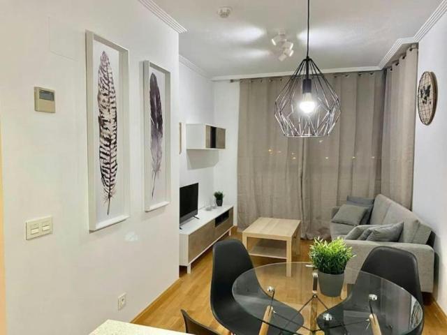 1 Dormitorio Apartamentos Madrid Madrid LS101057517