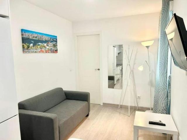 1 Dormitorio Apartamentos Madrid Madrid LS101111637