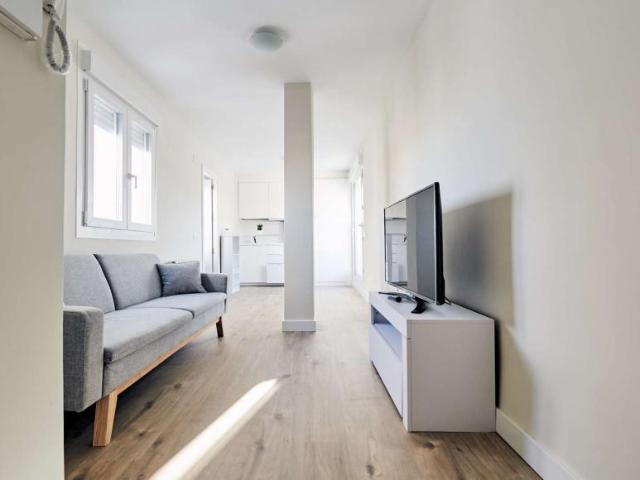 1 Dormitorio Apartamentos Madrid Madrid LS101190990