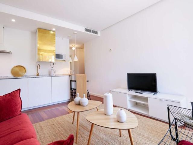1 Dormitorio Apartamentos Madrid Madrid LS101191487