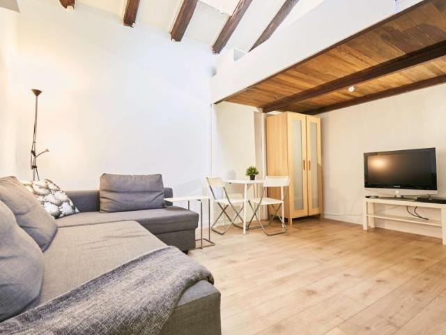 1 Dormitorio Apartamentos Madrid Madrid LS101191533