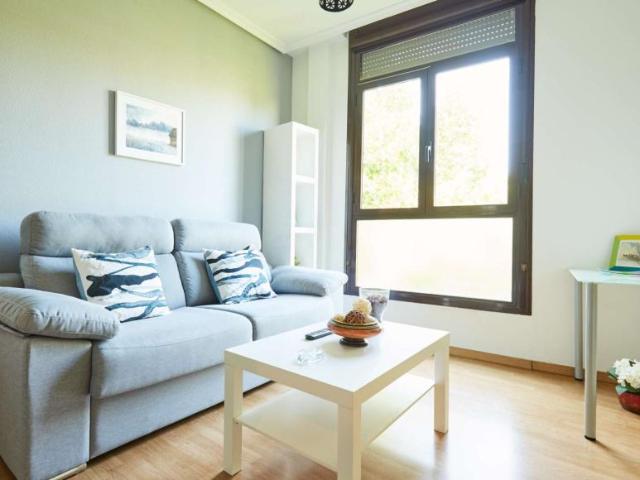 1 Dormitorio Apartamentos Madrid Madrid LS101191569