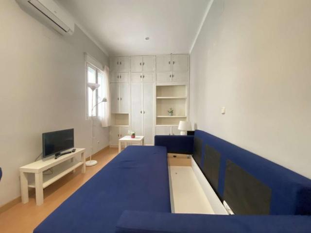 1 Dormitorio Apartamentos Madrid Madrid LS101191165