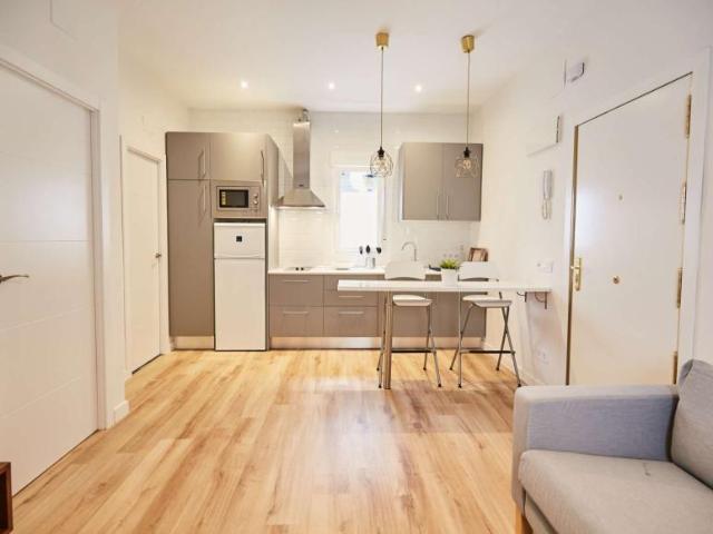 1 Dormitorio Apartamentos Madrid Madrid LS101192324