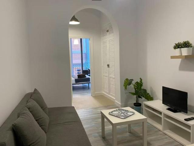 1 Dormitorio Apartamentos Madrid Madrid LS101270809