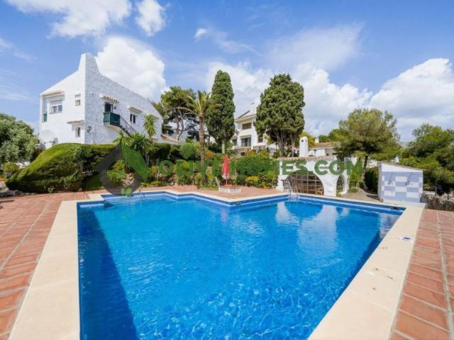 1 Dormitorio Apartamentos Málaga Andalusia 104040347