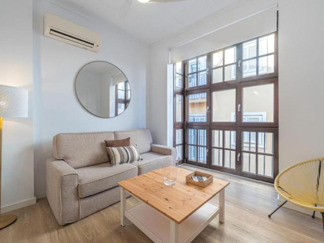 1 Dormitorio Apartamentos Málaga Málaga 104327217