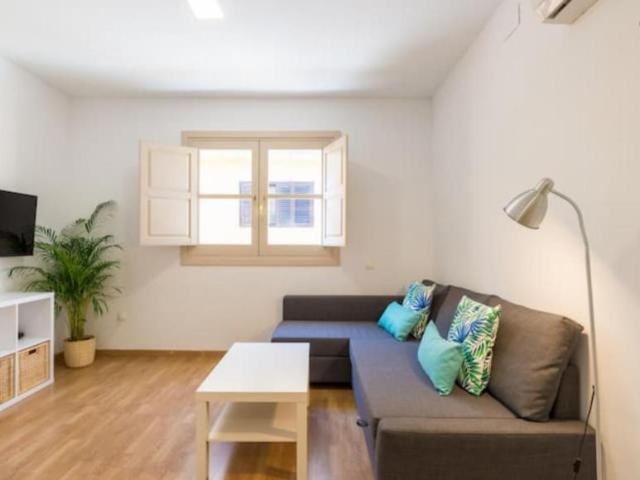1 Dormitorio Apartamentos Málaga Málaga 104755936
