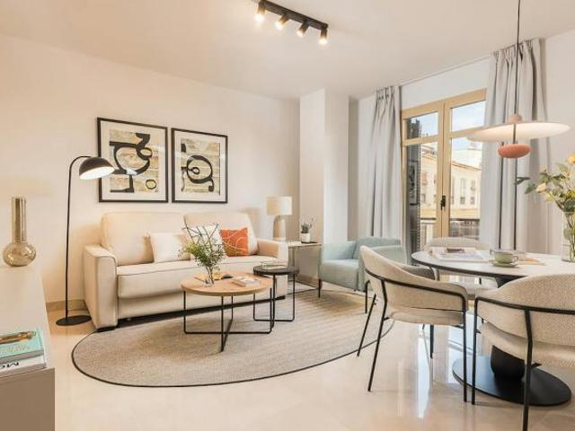 1 Dormitorio Apartamentos Málaga Málaga 104826080