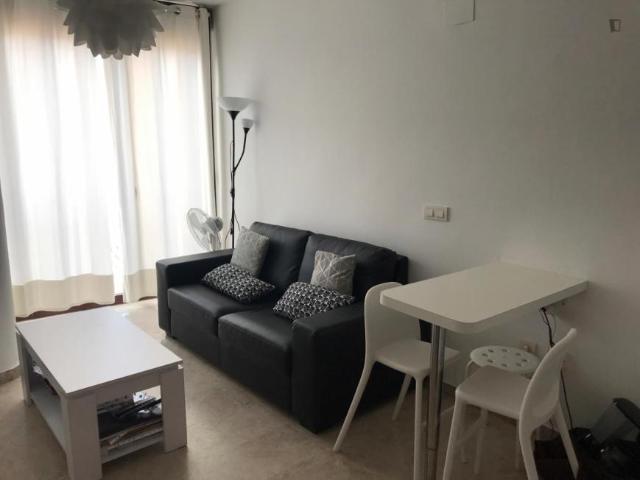 1 Dormitorio Apartamentos Málaga Málaga 104937890