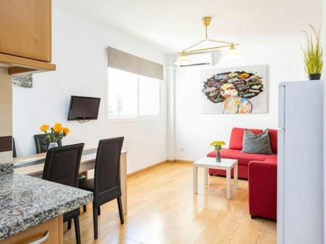 1 Dormitorio Apartamentos Málaga Málaga 101305625