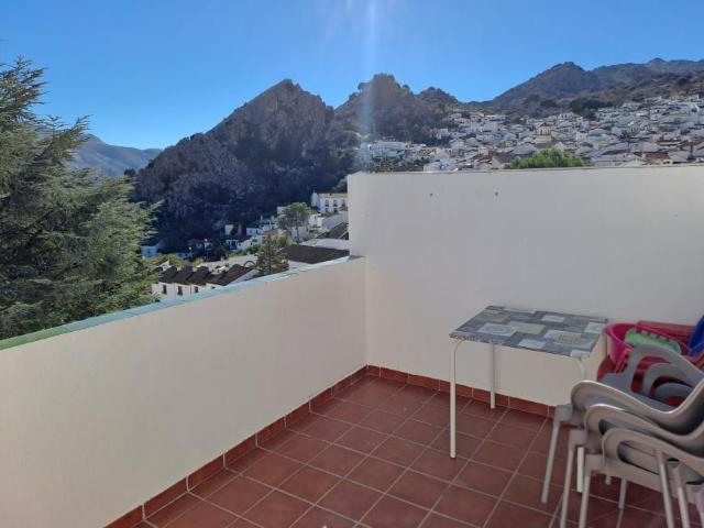 1 Dormitorio Apartamentos Malaga Malaga 101398796