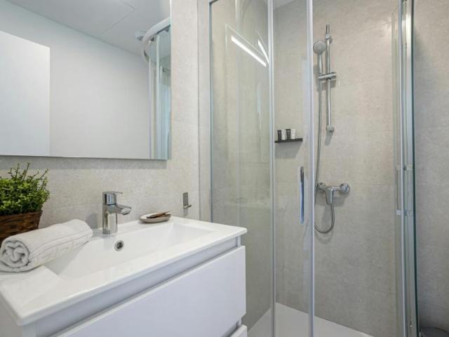 1 Dormitorio Apartamentos Málaga Málaga 101407503