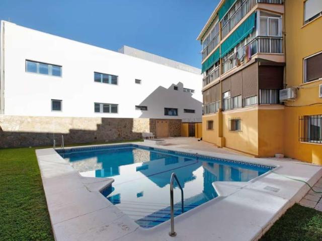 1 Dormitorio Apartamentos Malaga Malaga 101813080
