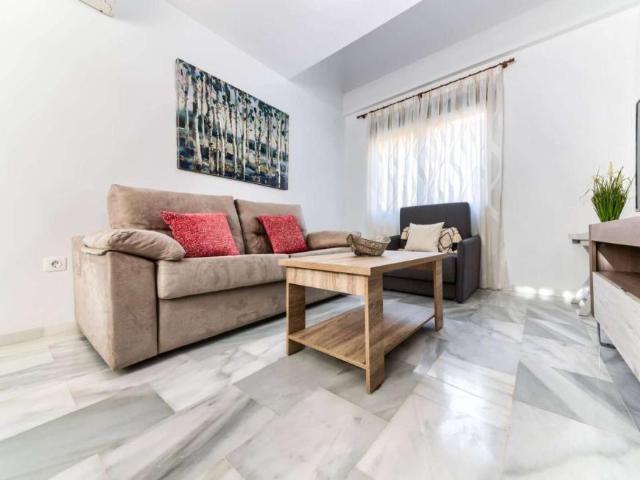 1 Dormitorio Apartamentos Malaga Malaga 101813636