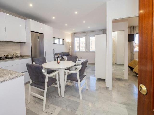 1 Dormitorio Apartamentos Málaga Málaga 102661910