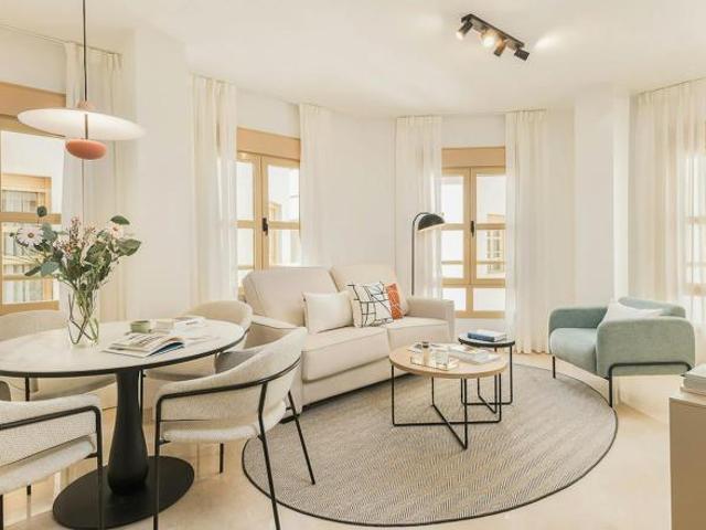 1 Dormitorio Apartamentos Málaga Málaga 102771789