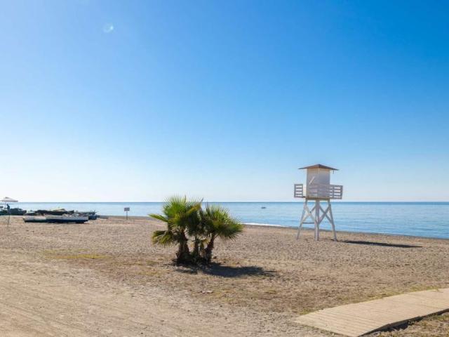 1 Dormitorio Apartamentos Malaga Malaga 102918308