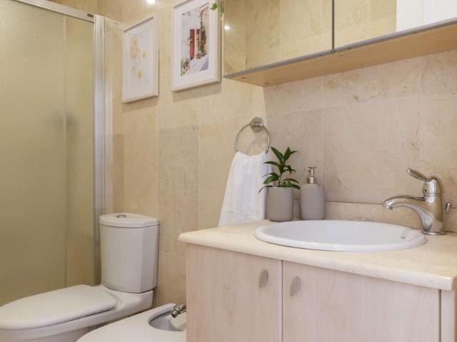 1 Dormitorio Apartamentos Malaga Malaga 102954340