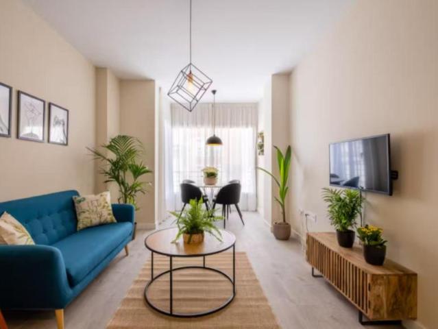 1 Dormitorio Apartamentos Malaga Malaga 103285831
