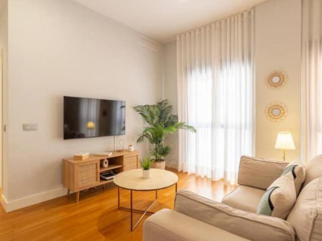 1 Dormitorio Apartamentos Malaga Malaga 103286371