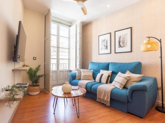 1 Dormitorio Apartamentos Malaga Malaga 103286780