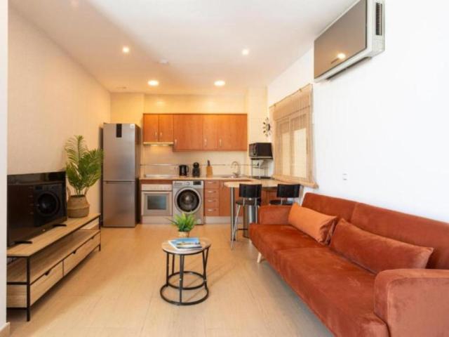 1 Dormitorio Apartamentos Malaga Malaga 103286996