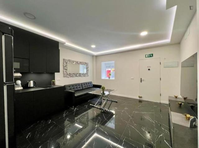 1 Dormitorio Apartamentos Malaga Malaga 103287146