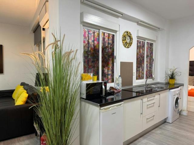 1 Dormitorio Apartamentos Málaga Málaga 103338926