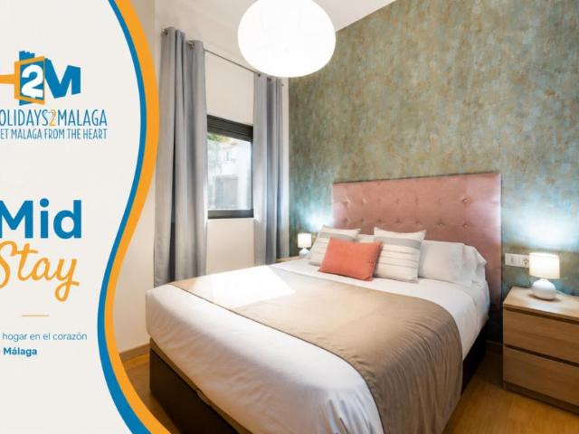 1 Dormitorio Apartamentos Málaga Málaga 103397962