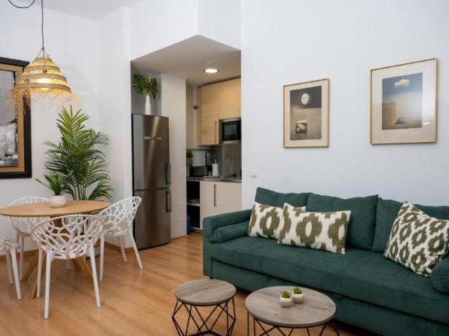 1 Dormitorio Apartamentos Málaga Málaga 103571410