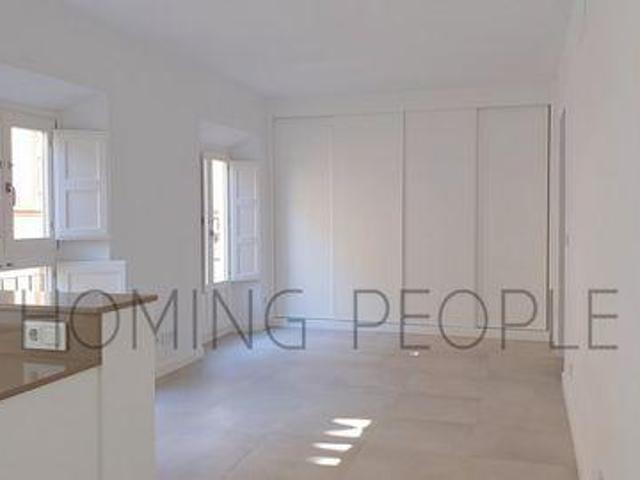 1 Dormitorio Apartamentos Malaga Malaga 103572049