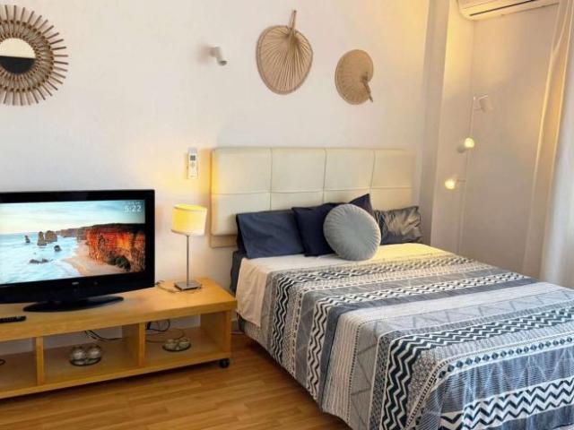 1 Dormitorio Apartamentos Malaga Malaga 103597523
