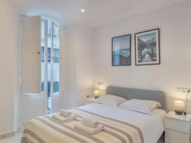 1 Dormitorio Apartamentos Málaga Málaga 103655117