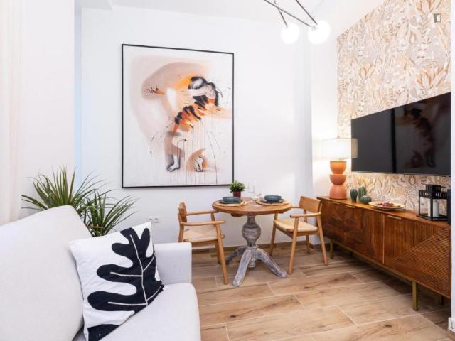 1 Dormitorio Apartamentos Málaga Málaga 103804493