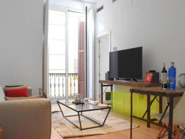 1 Dormitorio Apartamentos Málaga Málaga 103961323