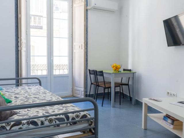 1 Dormitorio Apartamentos Málaga Málaga 77950585