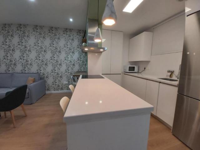 1 Dormitorio Apartamentos Málaga Málaga 77951297
