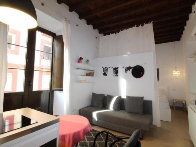 1 Dormitorio Apartamentos Málaga Málaga 94861229