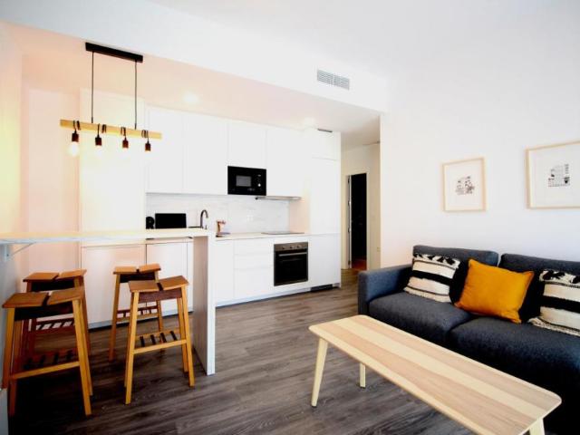 1 Dormitorio Apartamentos Málaga Málaga 95563573