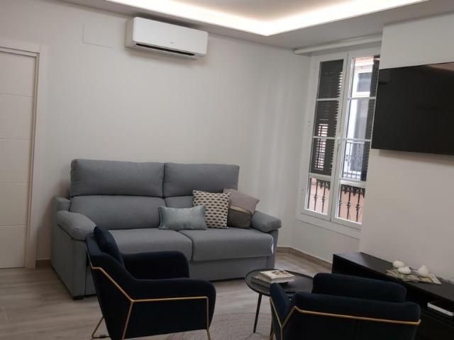 1 Dormitorio Apartamentos Málaga Málaga 95901896