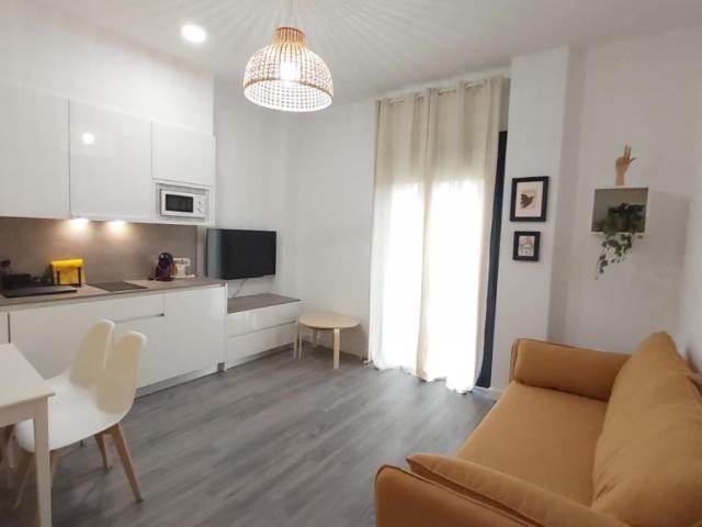 1 Dormitorio Apartamentos Málaga Málaga 95913851