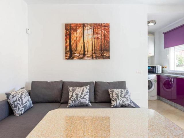 1 Dormitorio Apartamentos Málaga Málaga 95020478