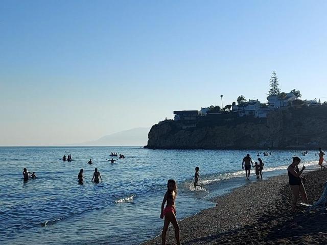 1 Dormitorio Apartamentos Málaga Málaga 99382767