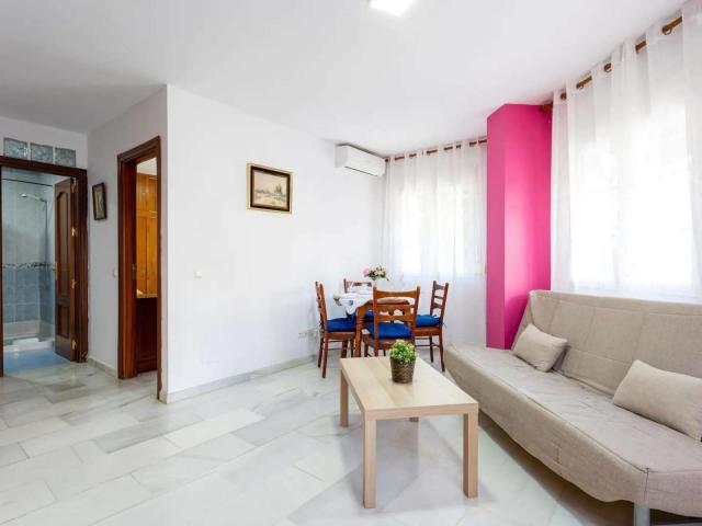 1 Dormitorio Apartamentos Malaga Malaga LS59555132