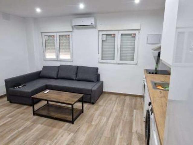 1 Dormitorio Apartamentos Malaga Malaga LS84583756