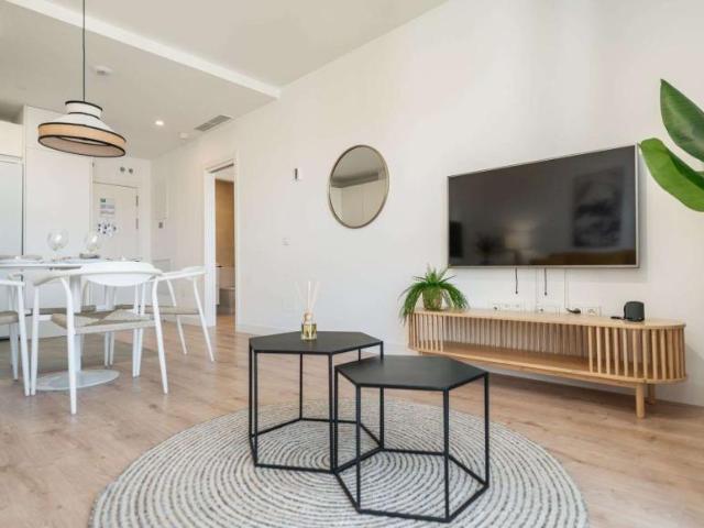 1 Dormitorio Apartamentos Malaga Malaga LS95198219