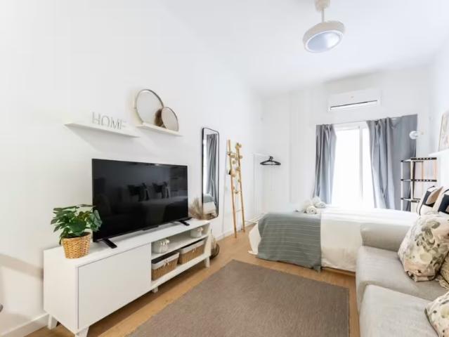 1 Dormitorio Apartamentos Málaga Málaga LS97912651